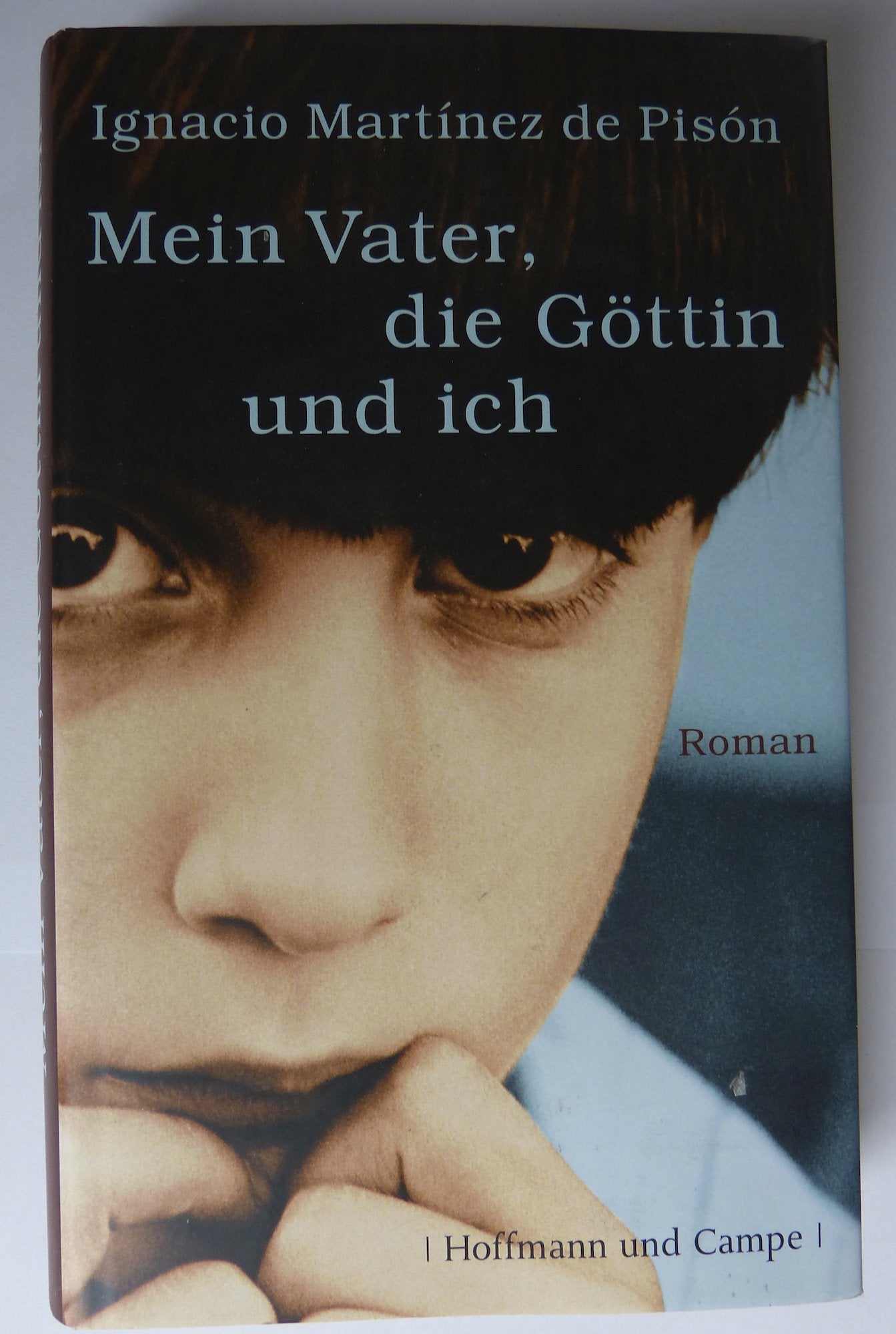 Mein Vater, die Göttin und ich: Roman (Gesellschaftsromane) Contemporary literature