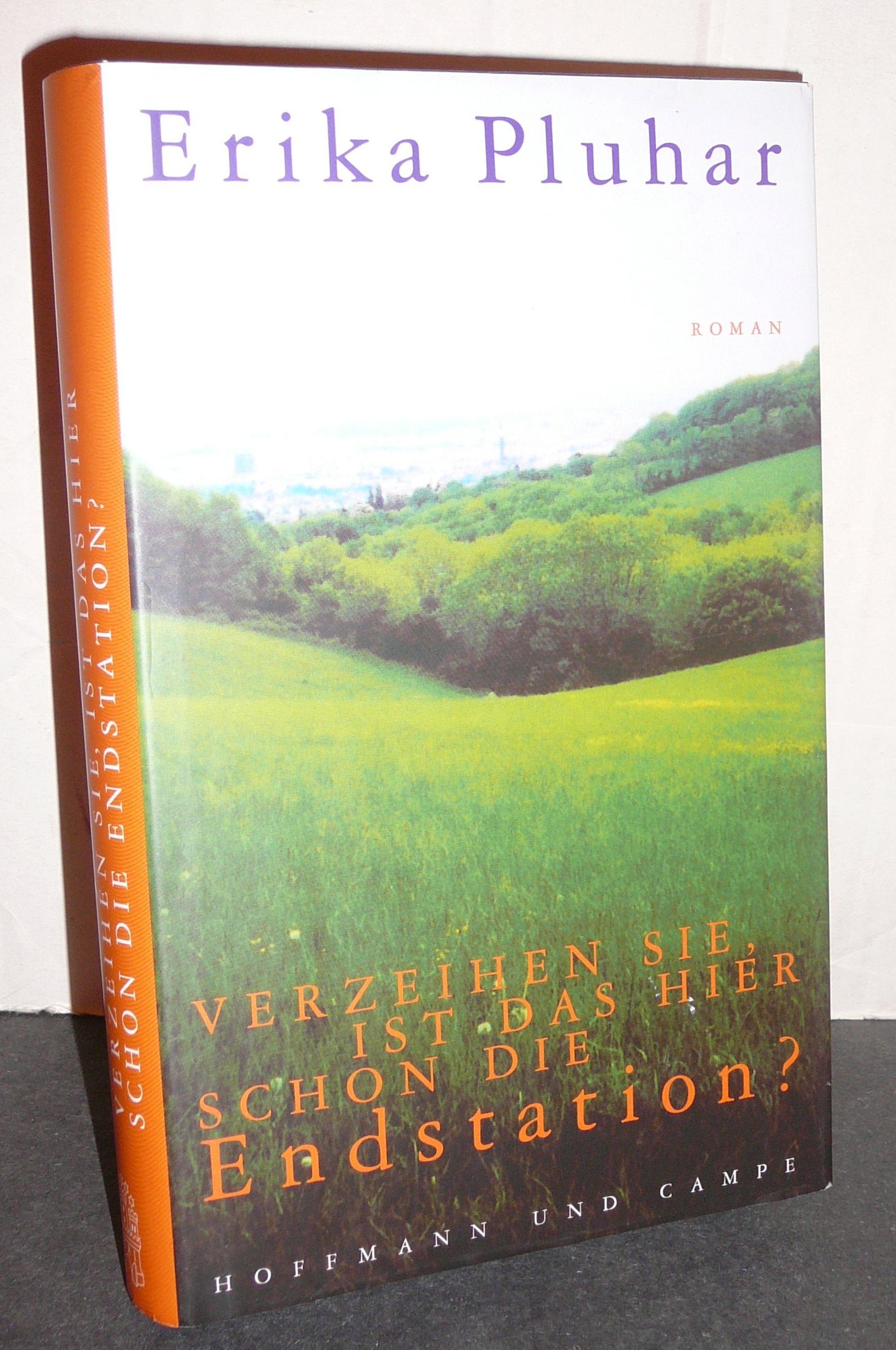 Verzeihen Sie, ist das hier schon die Endstation? Contemporary literature