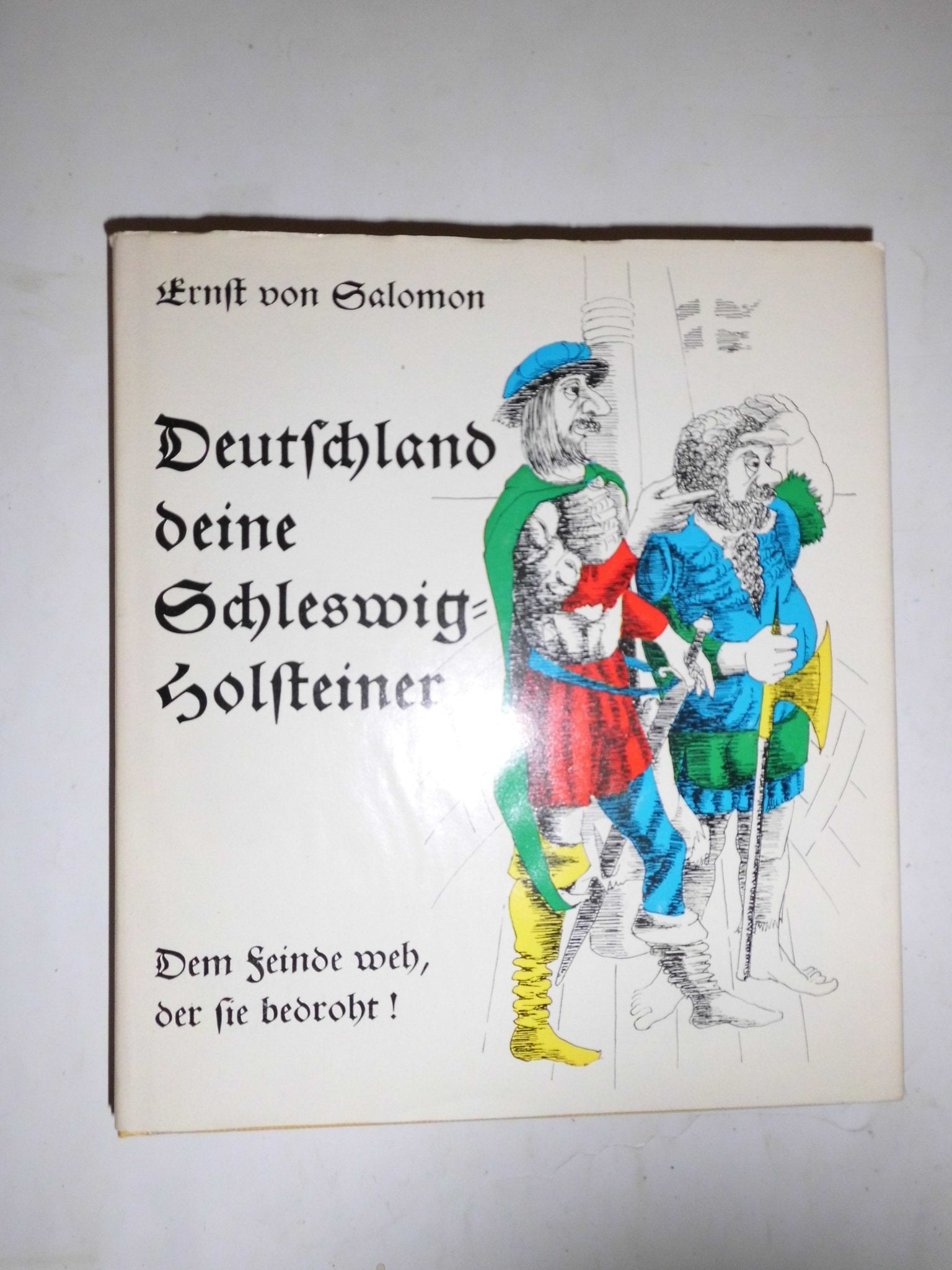 Deutschland deine Schleswig- Holsteiner. Dem Feinde weh, der sie bedroht book