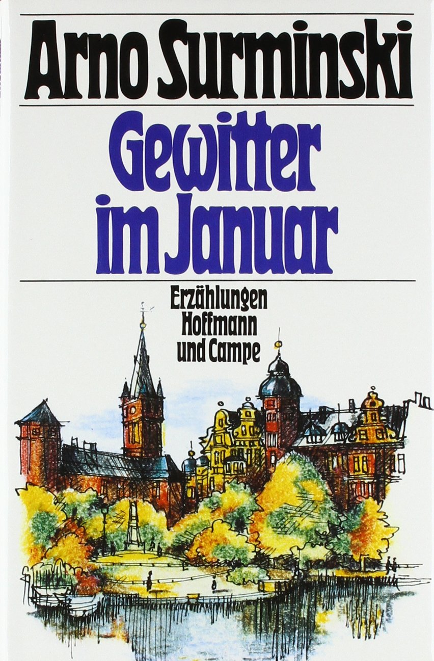 Gewitter im Januar: Erzählungen Contemporary literature