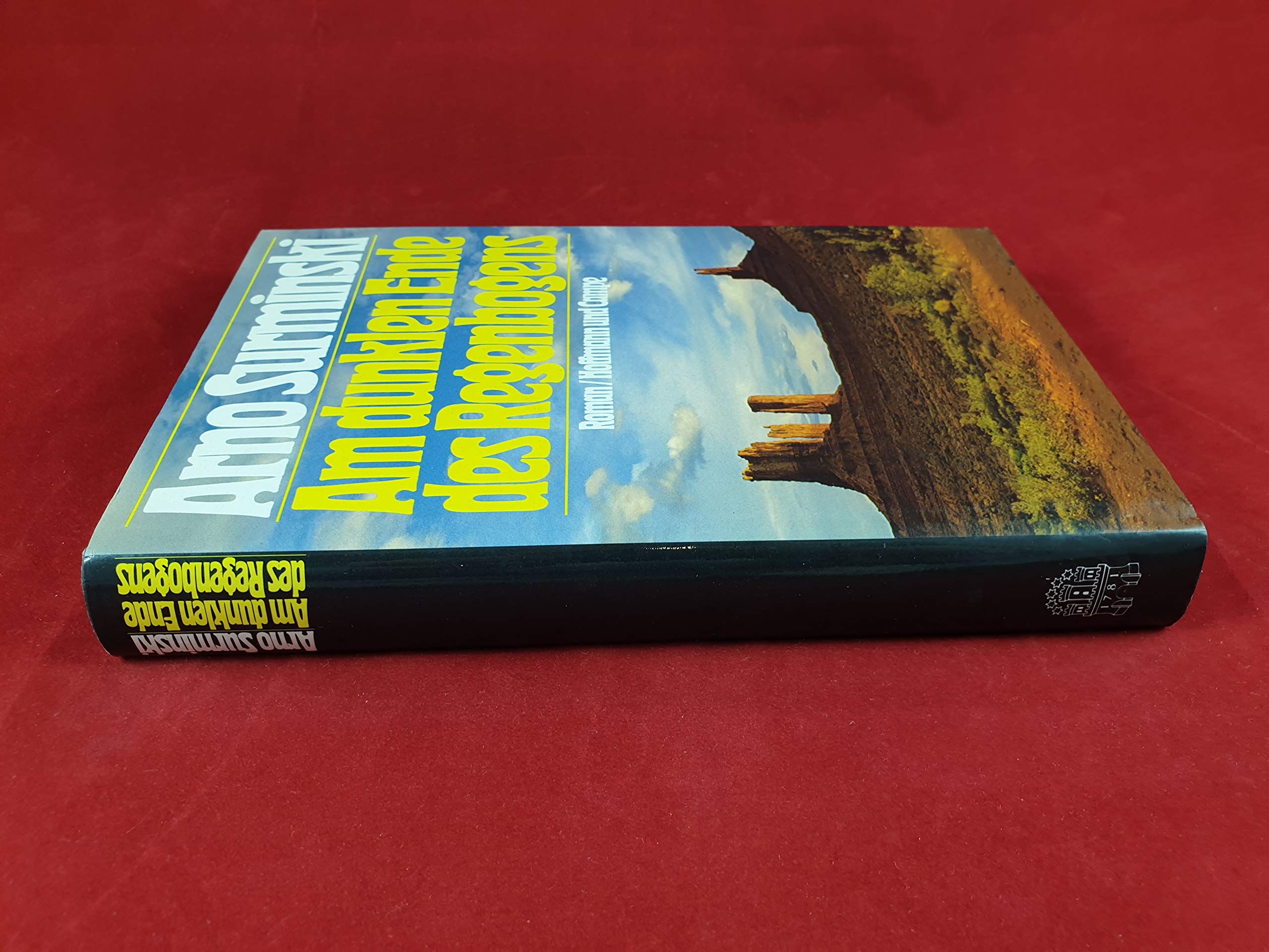 Am dunklen Ende des Regenbogens: Roman Contemporary literature