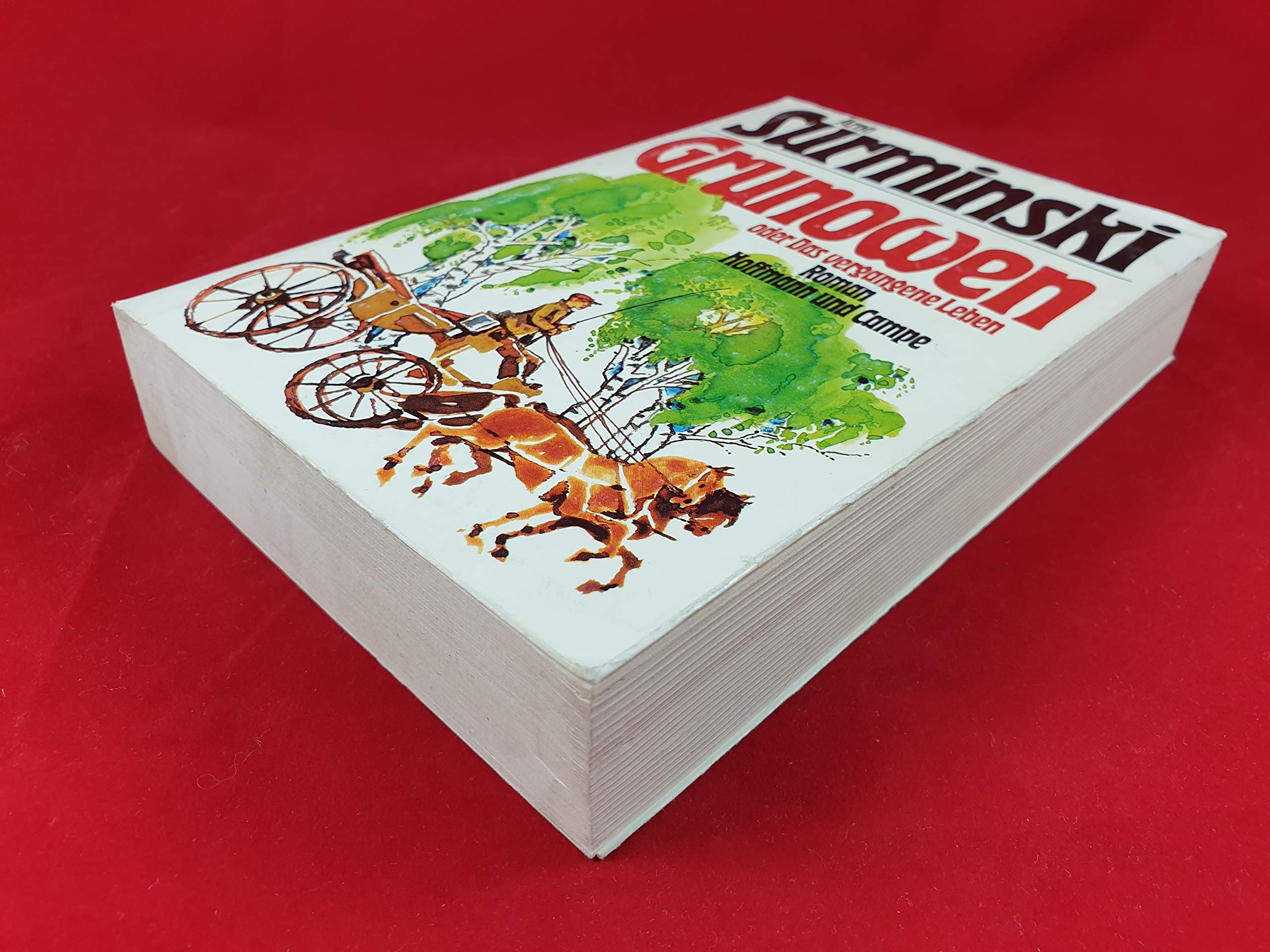 Grunowen oder Das vergangene Leben: Roman Contemporary literature Books
