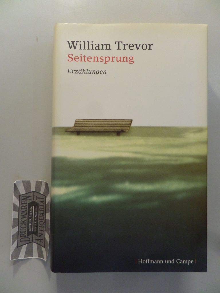 Seitensprung Contemporary literature Books