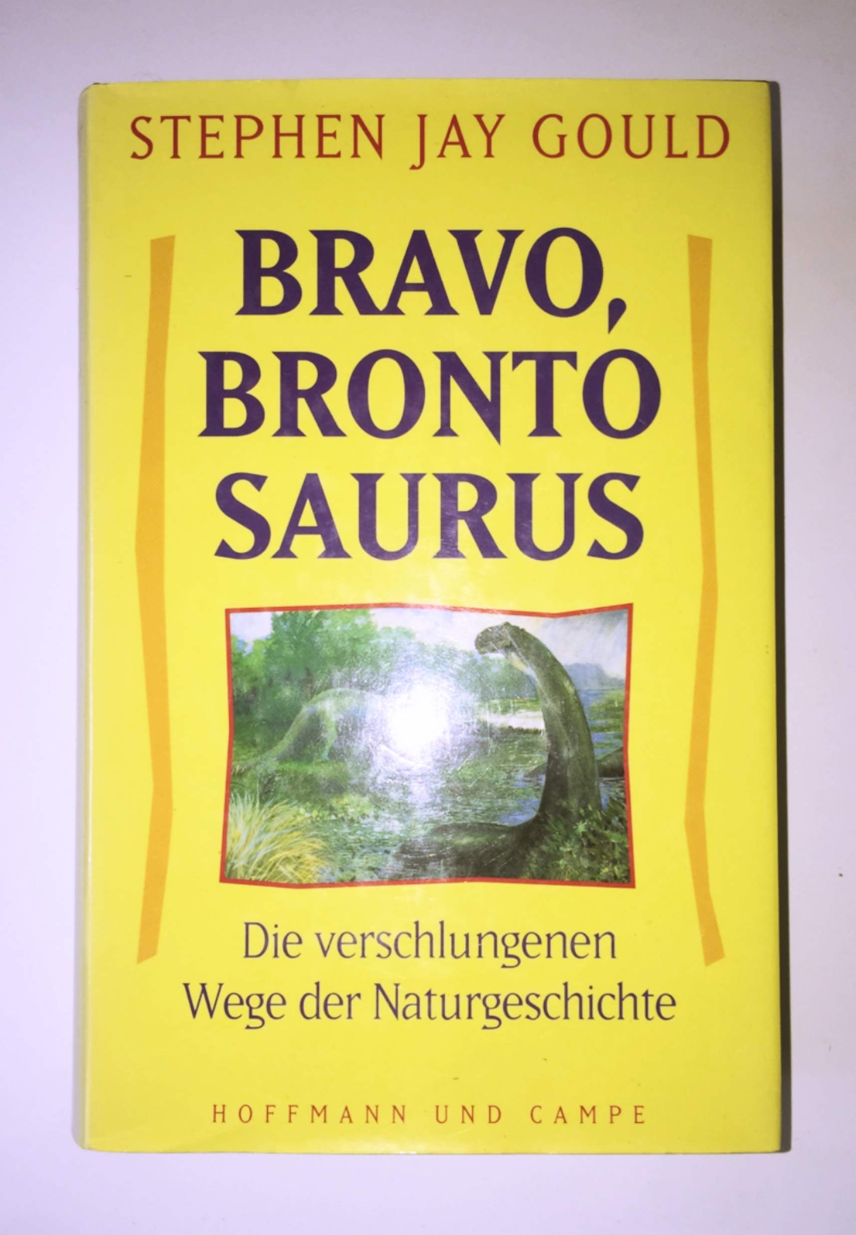 Bravo, Brontosaurus Business & Technology