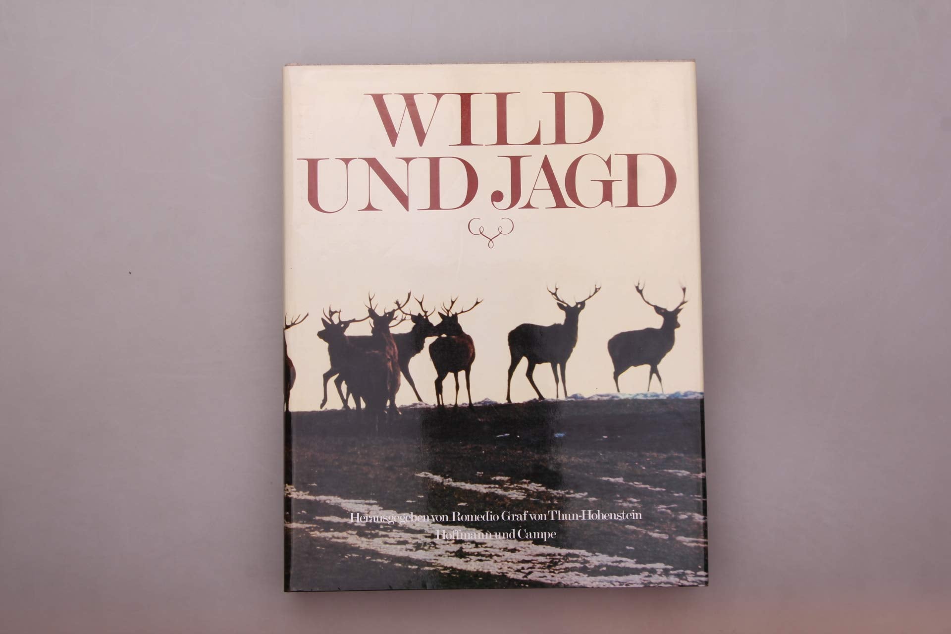 Wild und Jagd Leisure & Fun