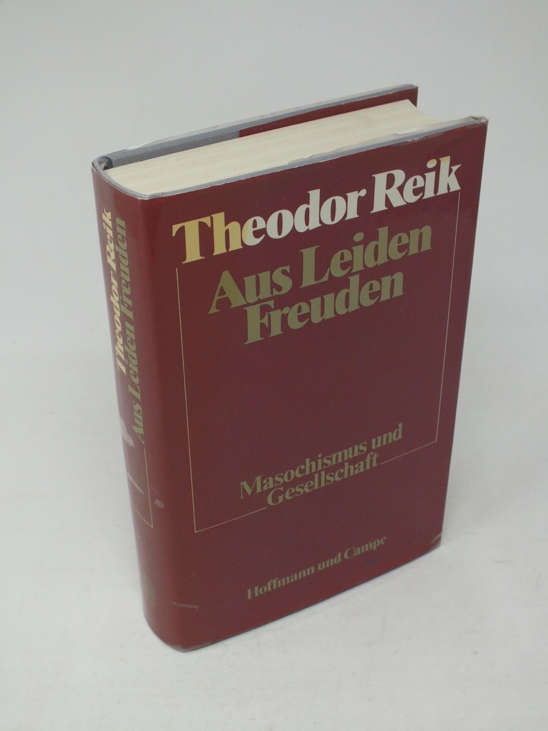 Aus Leiden Freuden. Masochismus und Gesellschaft Psychology