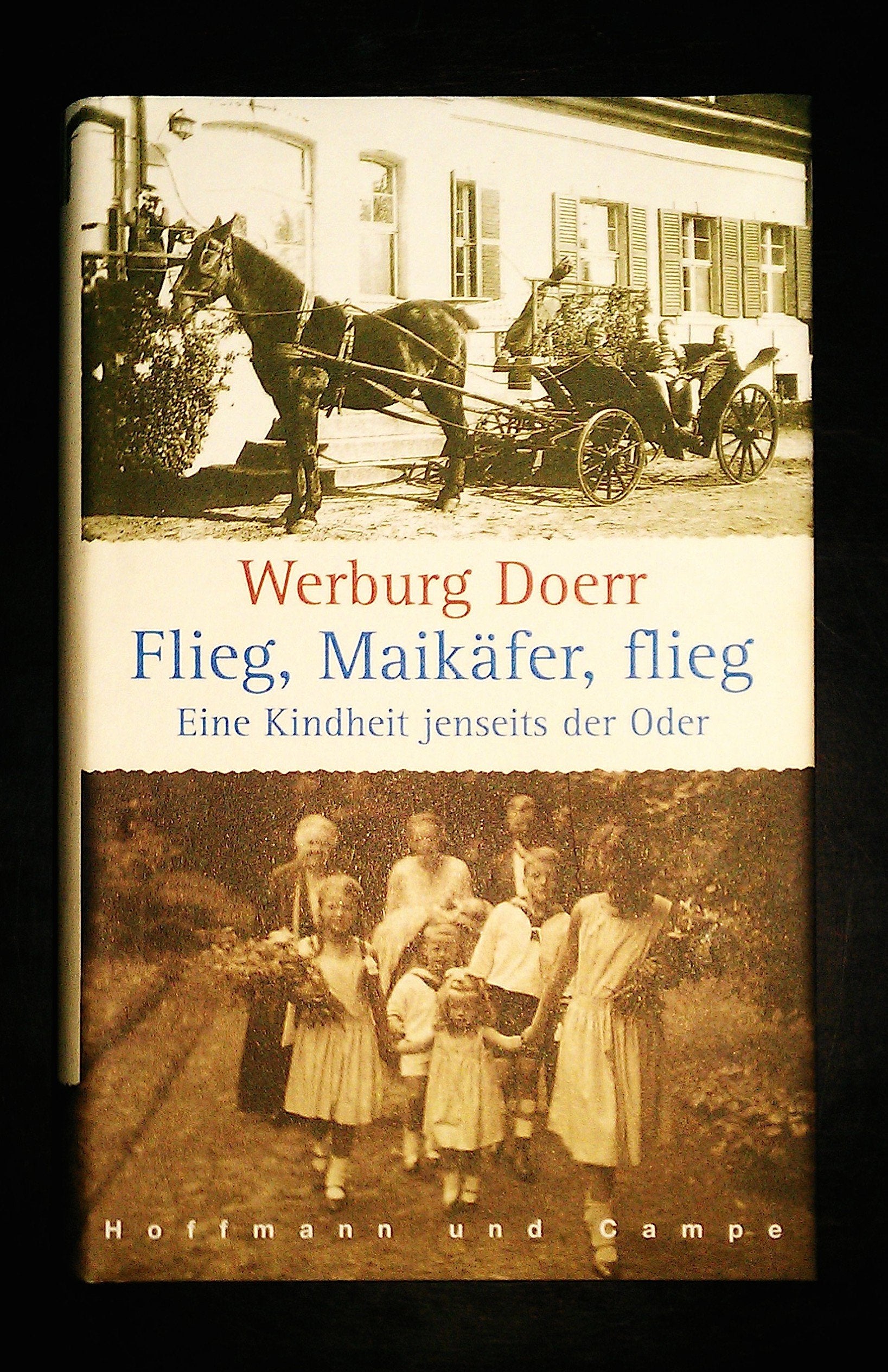 Flieg, Maikäfer, flieg Politics & Society Books