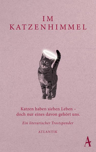 Im Katzenhimmel Contemporary literature Books