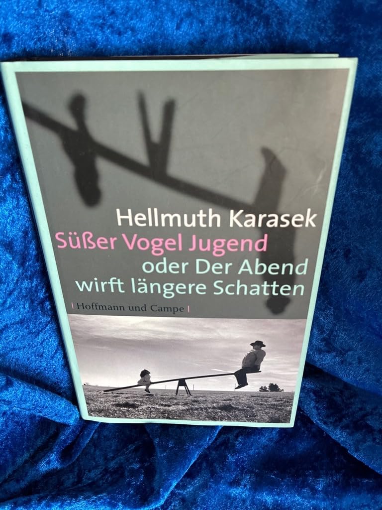 Product Image: Süßer Vogel Jugend oder Der Abend wirft längere Schatten