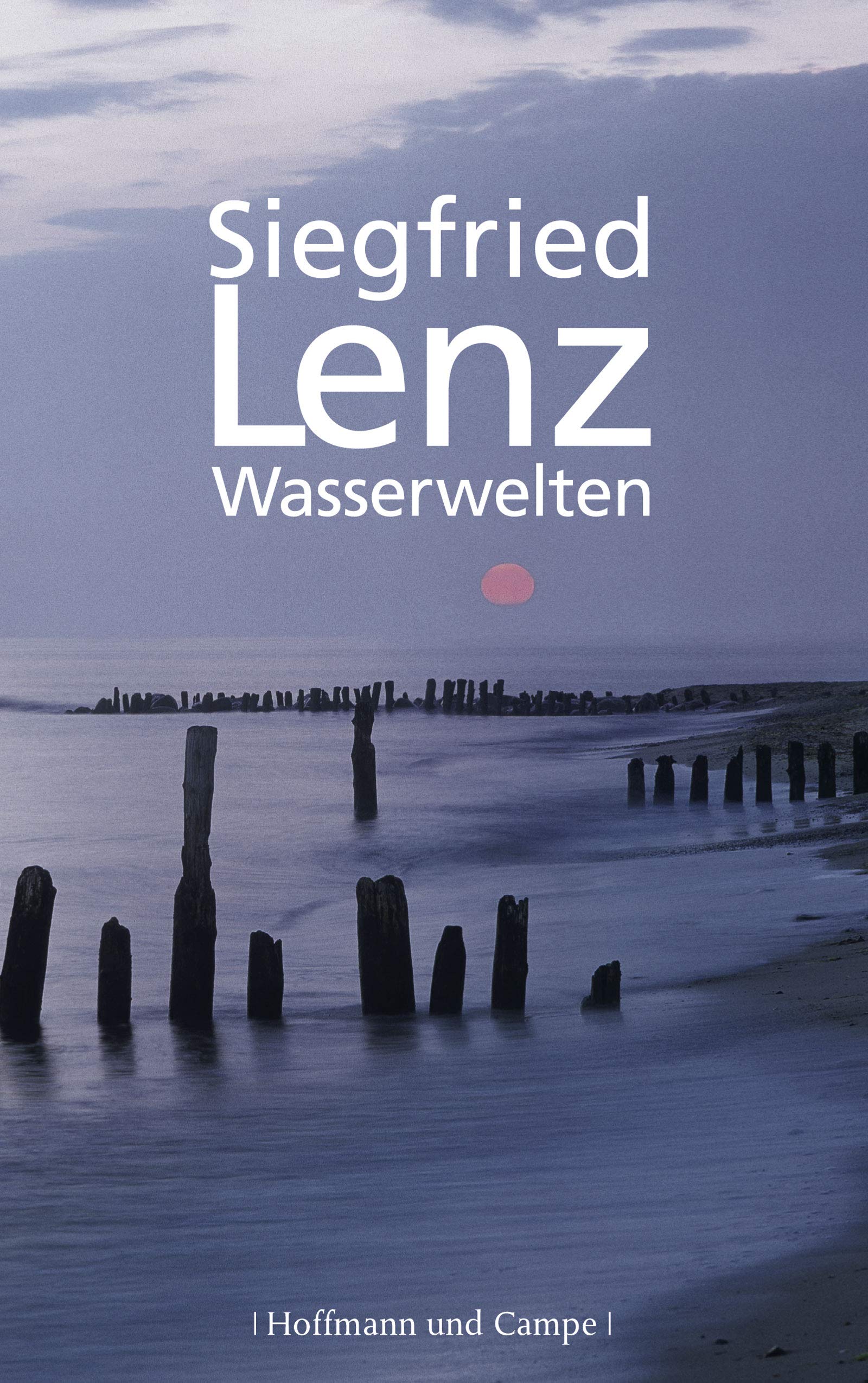 Wasserwelten Contemporary literature Books
