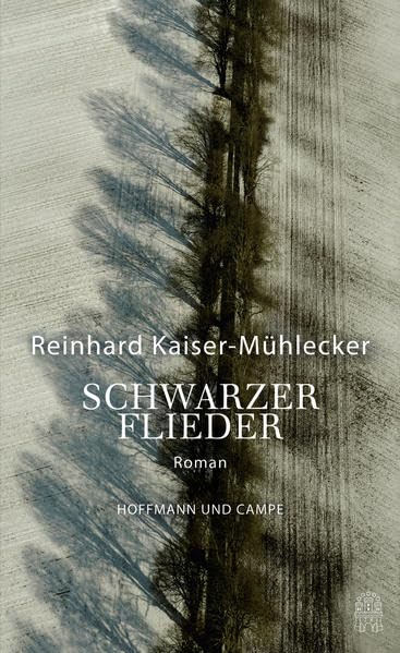 Product Image: Schwarzer Flieder