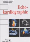 Echokardiographie Medicine