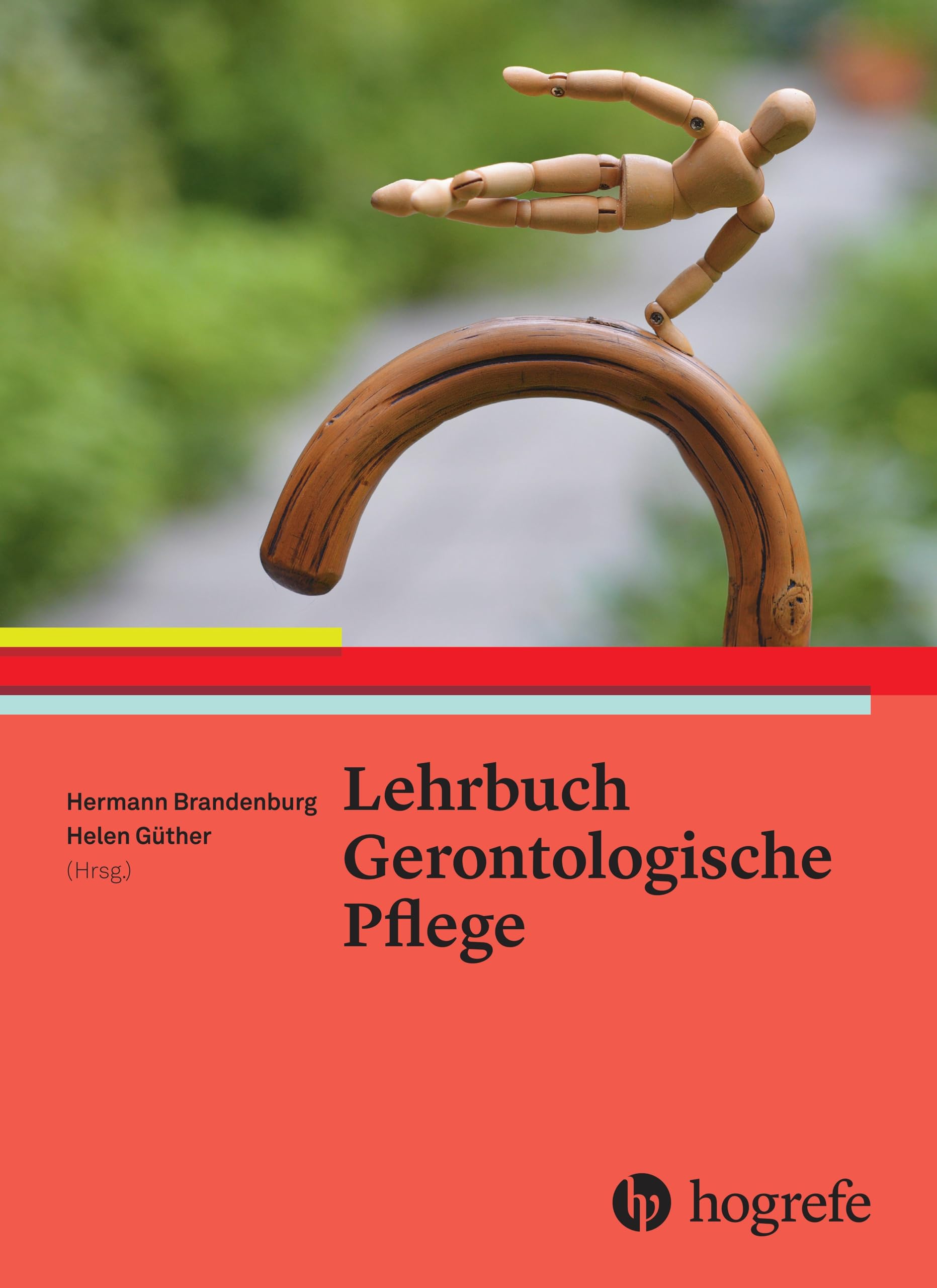 Lehrbuch Gerontologische Pflege Medicine Books