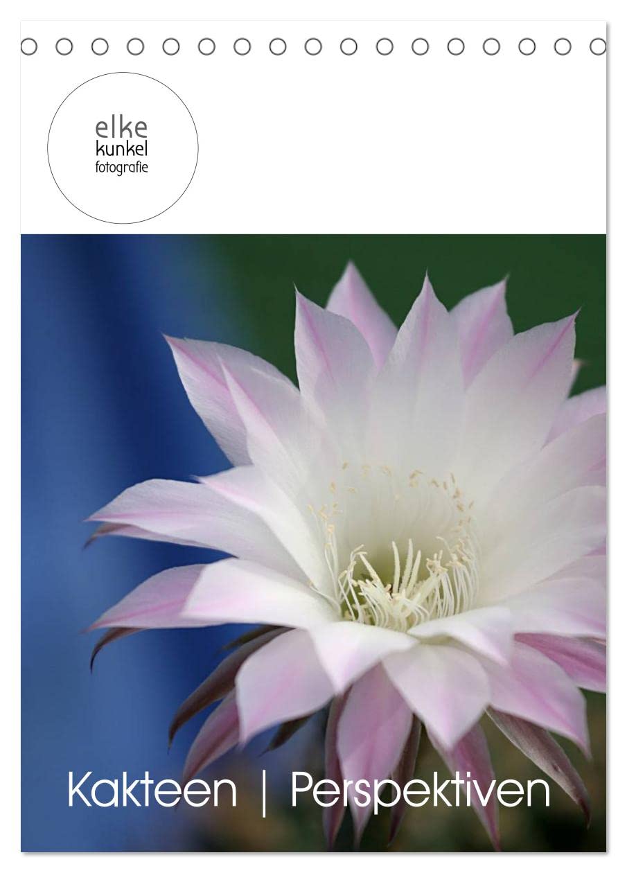 Kakteen Perspektiven (Tischkalender 2025 DIN A5 hoch), CALVENDO Monatskalender: Für Kakteenliebhaber: Ein anderer Blick auf die bizarre Schönheit der stacheligen Sonnenanbeter! (CALVENDO Natur) Photography