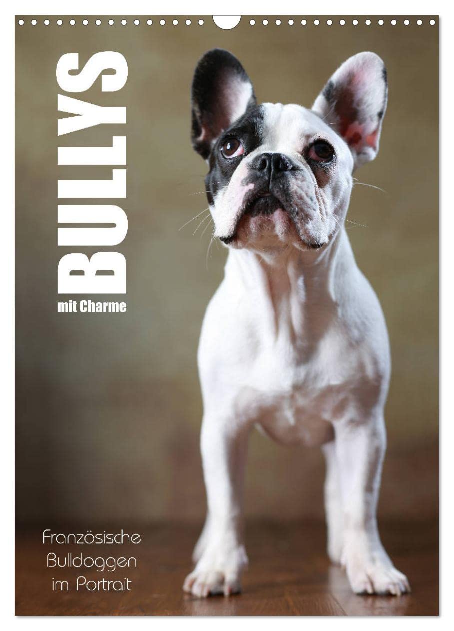 Bullys mit Charme - Französische Bulldoggen im Portrait (Wandkalender 2025 DIN A3 hoch), CALVENDO Monatskalender: Bullys im Portrait (CALVENDO Tiere) Natural Sciences