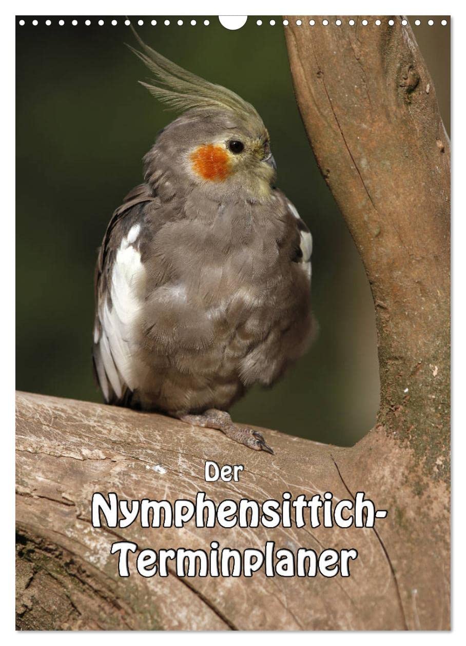 Der Nymphensittich-Terminplaner (Wandkalender 2025 DIN A3 hoch), CALVENDO Monatskalender: Kleine verspielte Papageien (CALVENDO Tiere) Natural Sciences