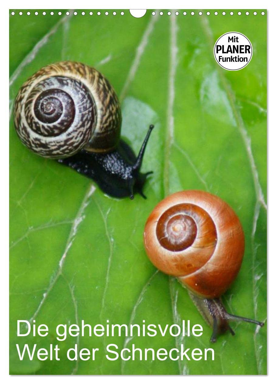 Die geheimnisvolle Welt der Schnecken (Wandkalender 2025 DIN A3 hoch), CALVENDO Monatskalender Living & Furnishing