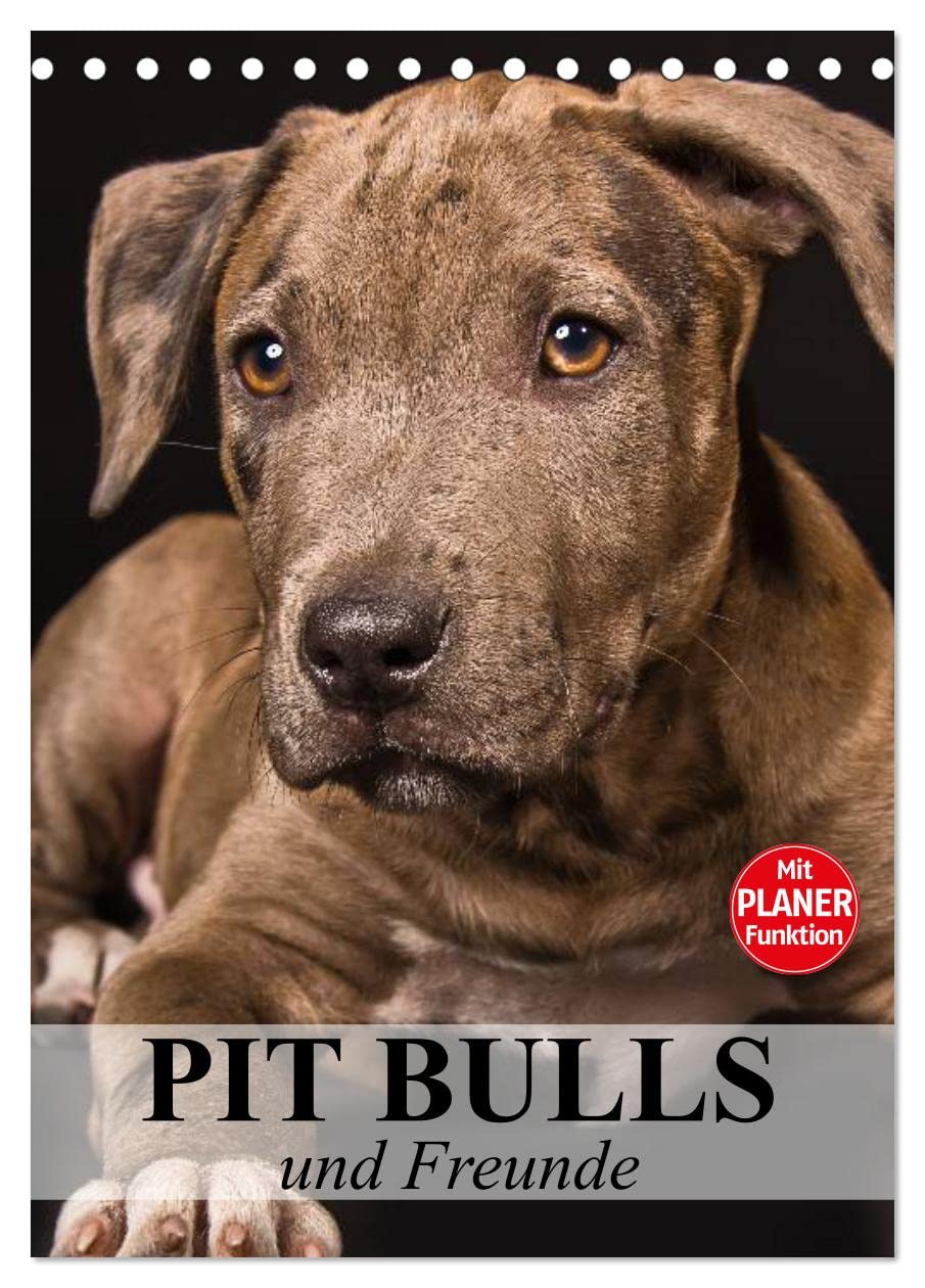 Pit Bulls und Freunde (Tischkalender 2025 DIN A5 hoch), CALVENDO Monatskalender Social Sciences