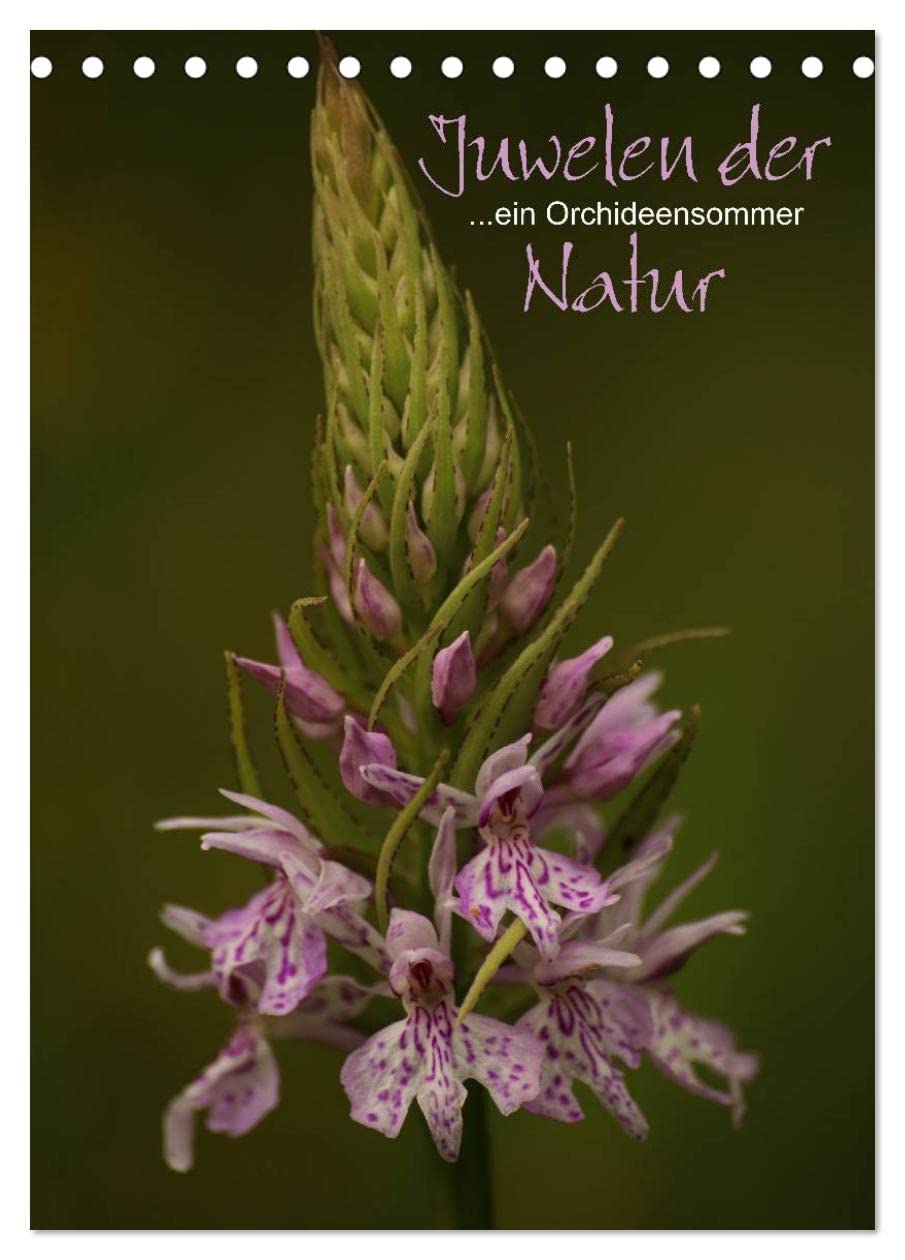 Juwelen der Natur - Ein Orchideensommer (Tischkalender 2025 DIN A5 hoch), CALVENDO Monatskalender: Hochwertiger Fotokalender mit Motiven einheimischer Orchideen (CALVENDO Natur) Photography