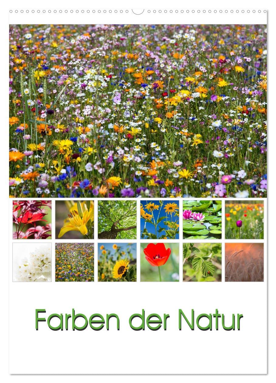 Farben der Natur (Wandkalender 2025 DIN A2 hoch), CALVENDO Monatskalender: Farben für die Seele! Jede Farbe hat eine Wirkung und nimmt Einfluss auf ... Gefühle und unsere Stimmung. (CALVENDO Natur) Leisure, Home & Garden