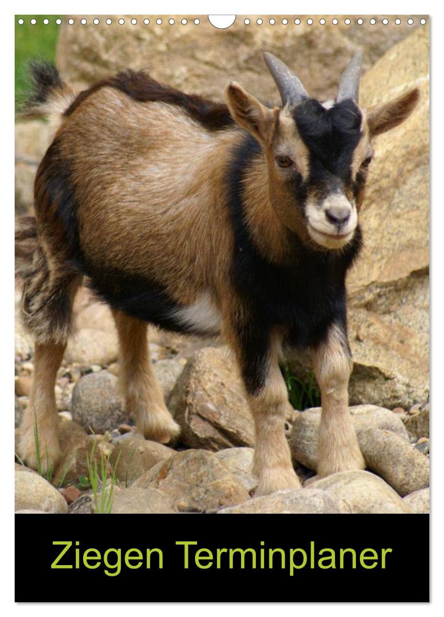Ziegen Terminplaner (Wandkalender 2025 DIN A3 hoch), CALVENDO Monatskalender: Hausziegen und Zwergziegen (CALVENDO Tiere) Natural Sciences