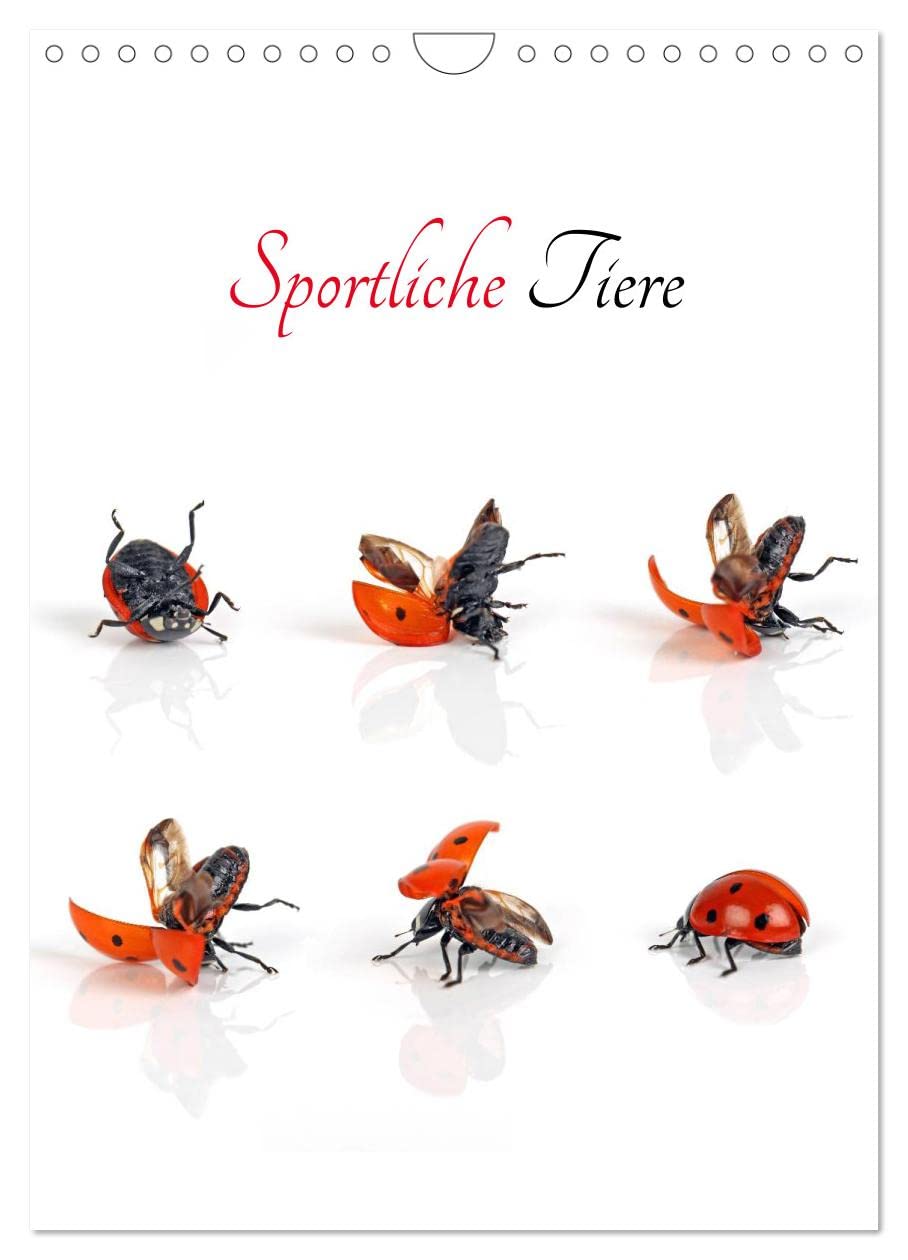 Sportliche Tiere (Wandkalender 2025 DIN A4 hoch), CALVENDO Monatskalender: Kleine Tiere im Foto-/Sport-Studio (CALVENDO Tiere) Natural Sciences