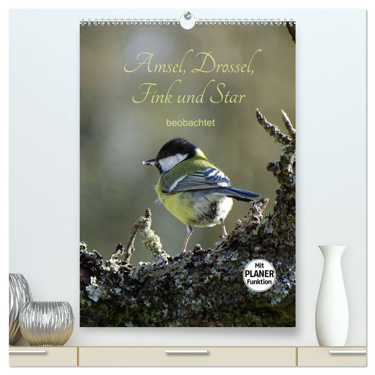 Amsel, Drossel, Fink und Star - beobachtet (hochwertiger Premium Wandkalender 2025 DIN A2 hoch), Kunstdruck in Hochglanz Film, Art & Culture