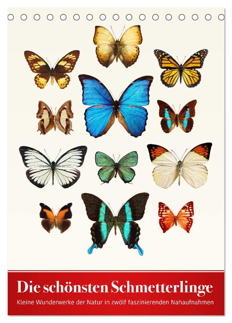Die schönsten Schmetterlinge (Tischkalender 2025 DIN A5 hoch), CALVENDO Monatskalender: Kleine Wunderwerke der Natur in zwölf faszinierenden Nahaufnahmen (CALVENDO Tiere) Natural Sciences