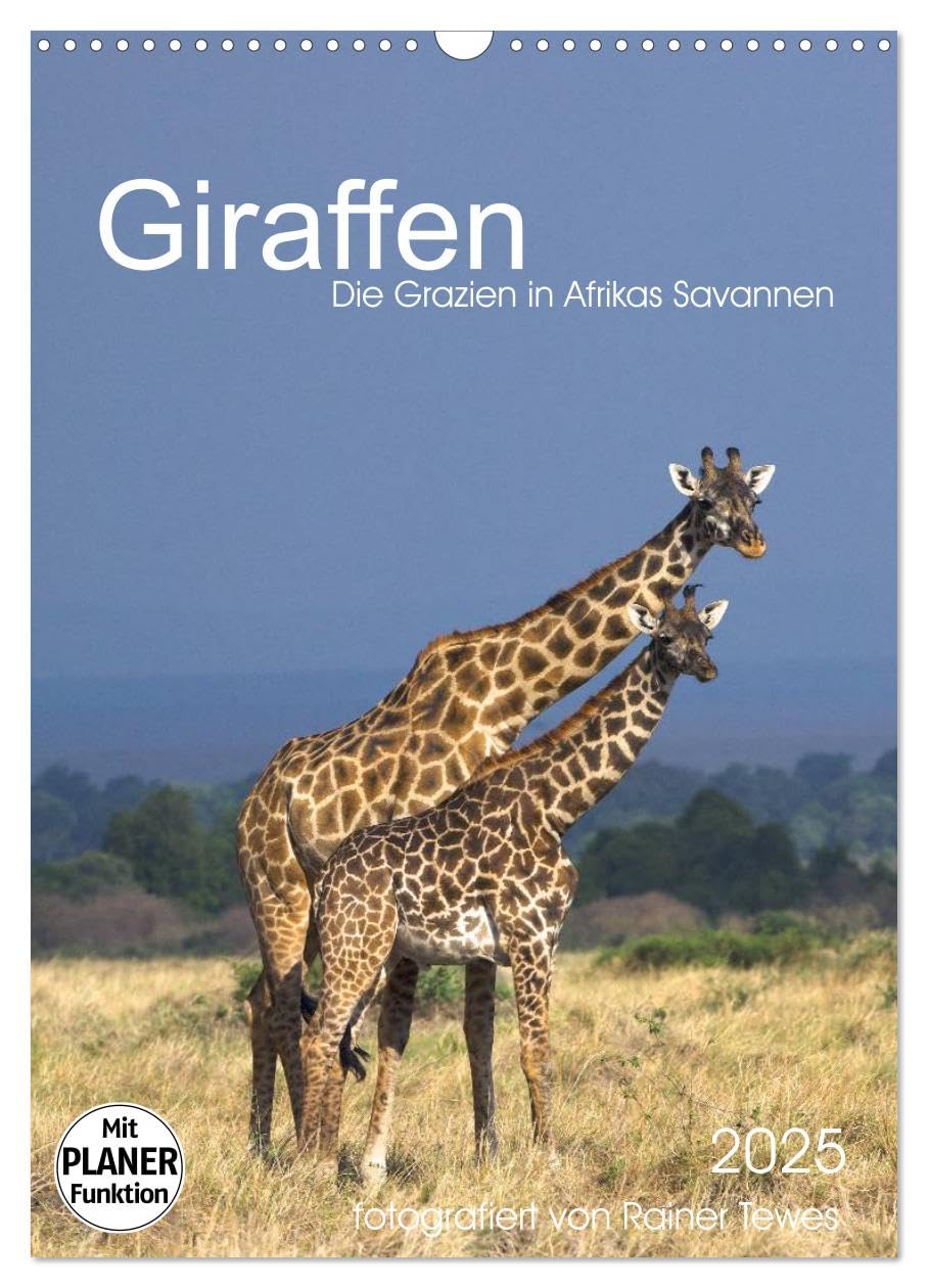 Giraffen - Die Grazien in Afrikas Savannen (Wandkalender 2025 DIN A3 hoch), CALVENDO Monatskalender: Mit majestätischem Schritt bewegen sich Giraffen ... von Rainer Tewes (CALVENDO Tiere) Leisure, Home & Garden