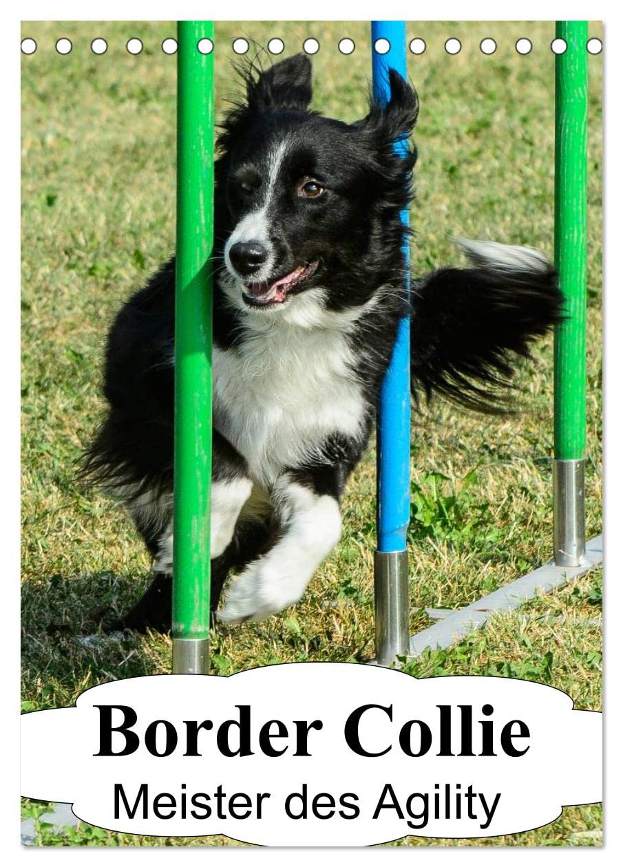 Border Collie Meister des Agility (Tischkalender 2025 DIN A5 hoch), CALVENDO Monatskalender: Border Collies unter Turnierbedingungen im Agility-Parcours (CALVENDO Tiere) Natural Sciences