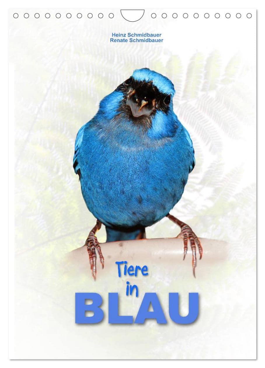 Tiere in Blau (Wandkalender 2025 DIN A4 hoch), CALVENDO Monatskalender: Für ein blaues Ambiente - eine dekorative Ergänzung (CALVENDO Tiere) Natural Sciences