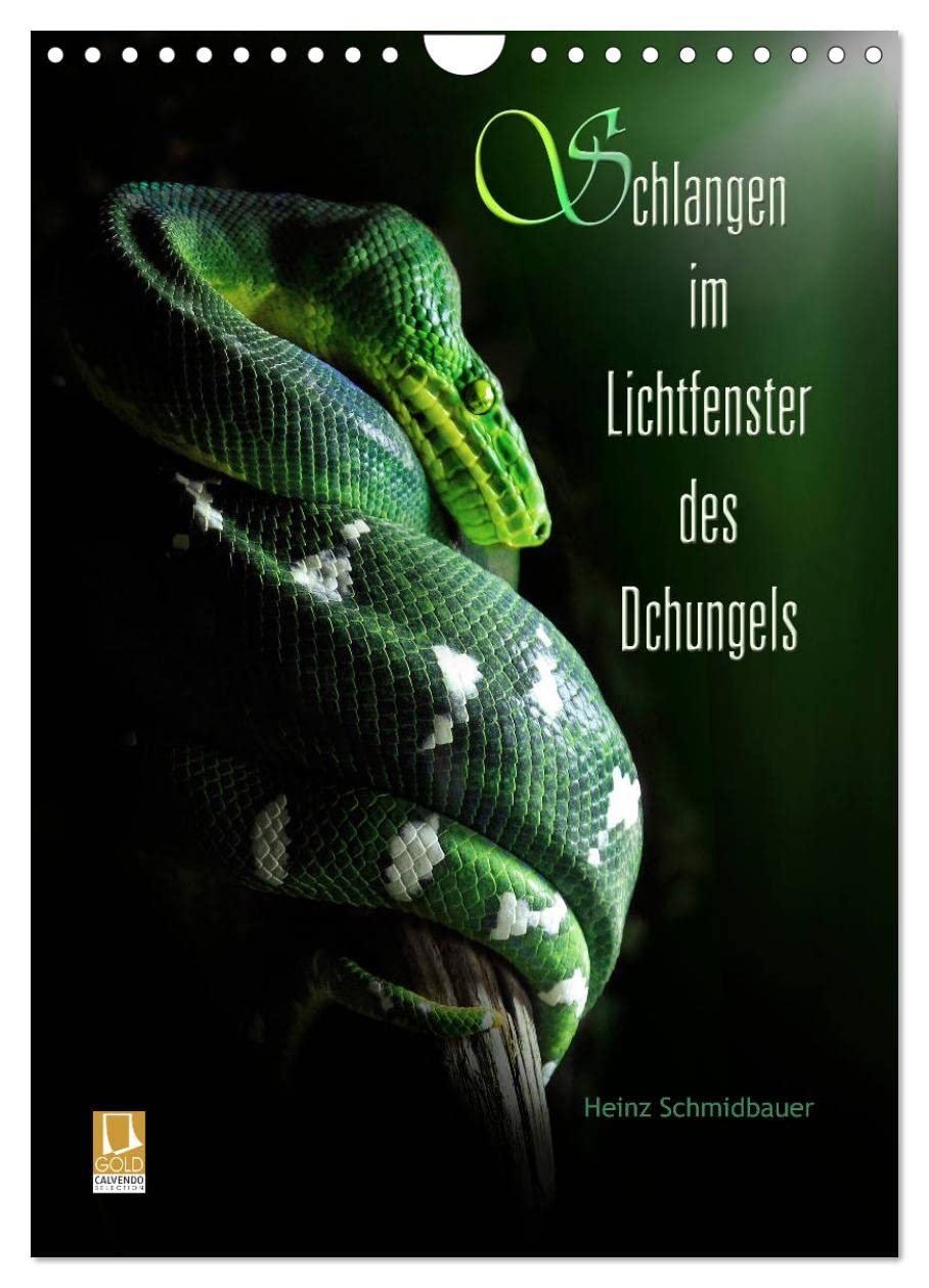Schlangen im Lichtfenster des Dschungels (Wandkalender 2025 DIN A4 hoch), CALVENDO Monatskalender: Schlangen - nur wenige mögen sie, doch faszinierend ... von Heinz Schmidbauer. (CALVENDO Tiere) Natural Sciences
