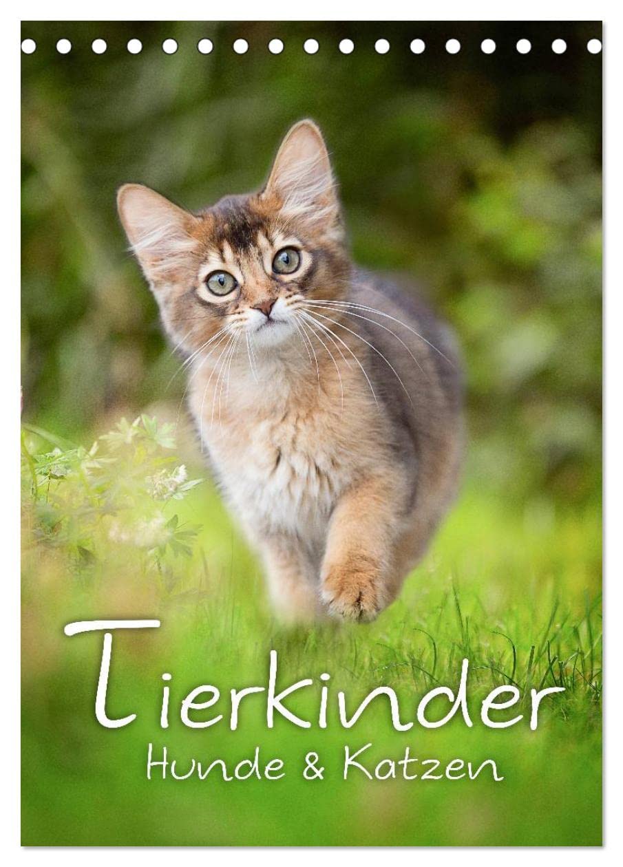 Tierkinder Hunde und Katzen (Tischkalender 2025 DIN A5 hoch), CALVENDO Monatskalender: Schöner Tierkinder Kalender mit Hunde- und Katzenkindern (CALVENDO Tiere) Natural Sciences