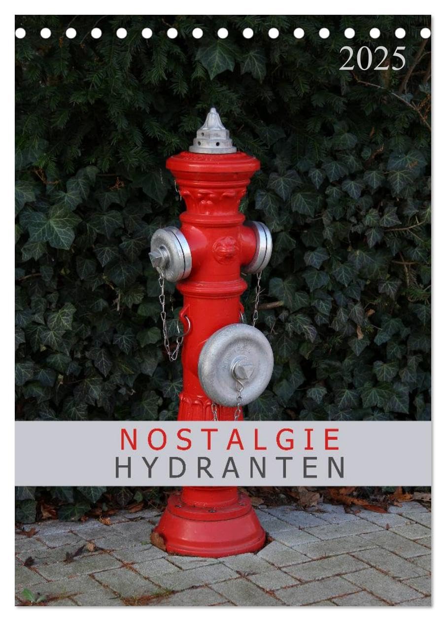 Nostalgie Hydranten (Tischkalender 2025 DIN A5 hoch), CALVENDO Monatskalender: Hydranten am Straßenrand (CALVENDO Technologie) Photography