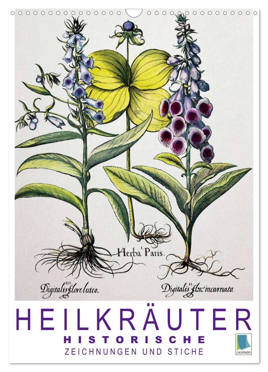 Heilkräuter: Historische Zeichnungen und Stiche (Wandkalender 2025 DIN A3 hoch), CALVENDO Monatskalender: Farblithografien und Kupferstiche ... und Schlafmohn (CALVENDO Wissen) Film, Art & Culture
