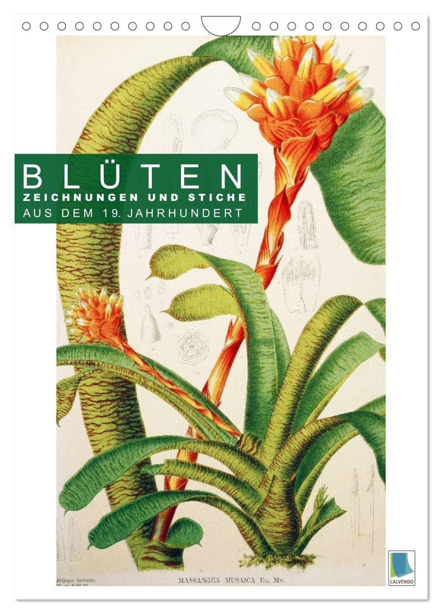 Blüten: Zeichnungen und Stiche aus dem 19. Jahrhundert (Wandkalender 2025 DIN A4 hoch), CALVENDO Monatskalender Calendars