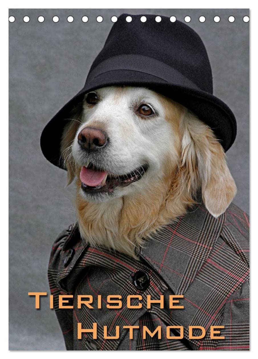 Tierische Hutmode (Tischkalender 2025 DIN A5 hoch), CALVENDO Monatskalender: Gut behütete Retriever (CALVENDO Tiere) Natural Sciences