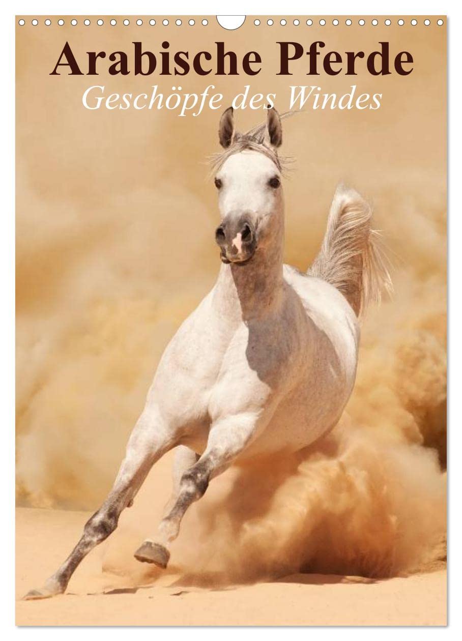 Arabische Pferde • Geschöpfe des Windes (Wandkalender 2025 DIN A3 hoch), CALVENDO Monatskalender: Die edlen Pferde der arabischen Wüste (CALVENDO Tiere) Living & Furnishing