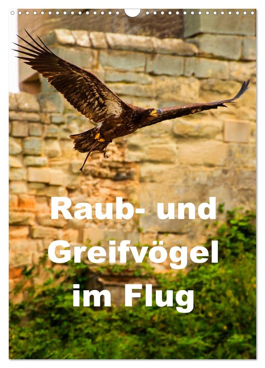 Raub- und Greifvögel im Flug (Wandkalender 2025 DIN A3 hoch), CALVENDO Monatskalender: Faszinierende Raub- und Greifvögel in der Luft beobachtet (CALVENDO Tiere) Living & Furnishing
