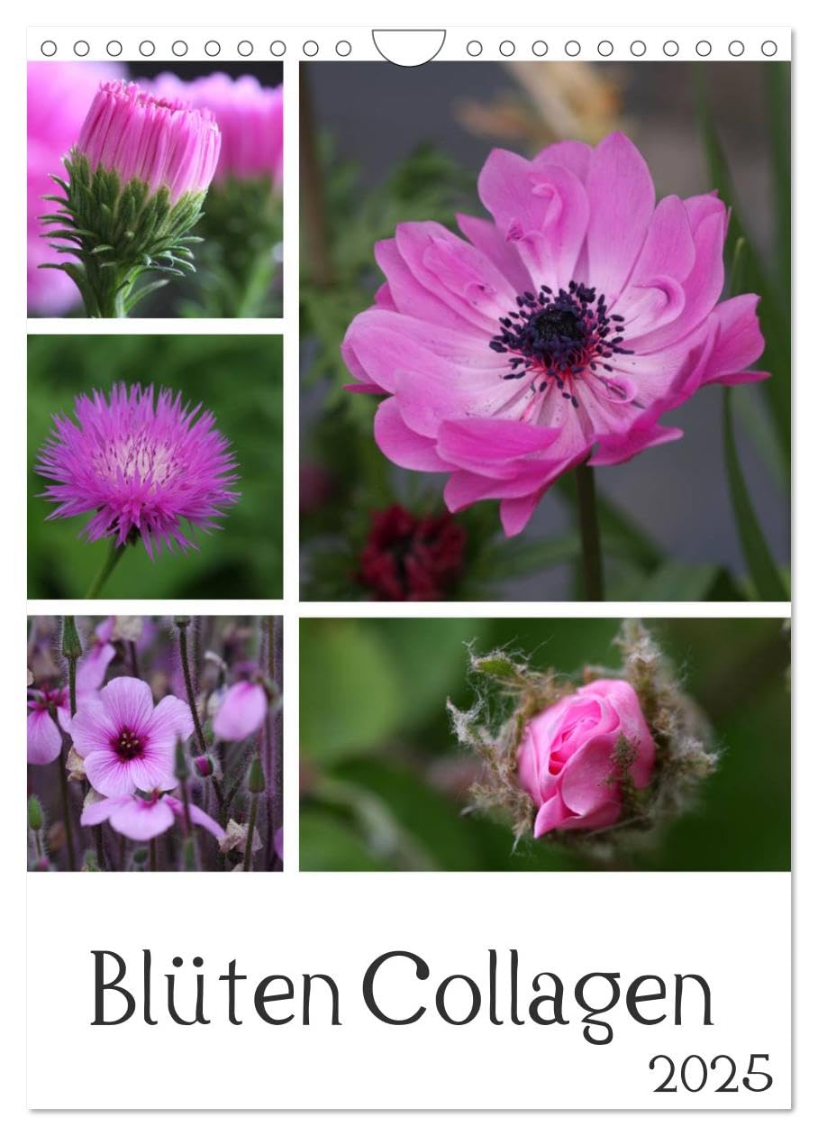 Blüten Collagen (Wandkalender 2025 DIN A4 hoch), CALVENDO Monatskalender: Farbenspiel der Blüten (CALVENDO Natur) Living & Furnishing
