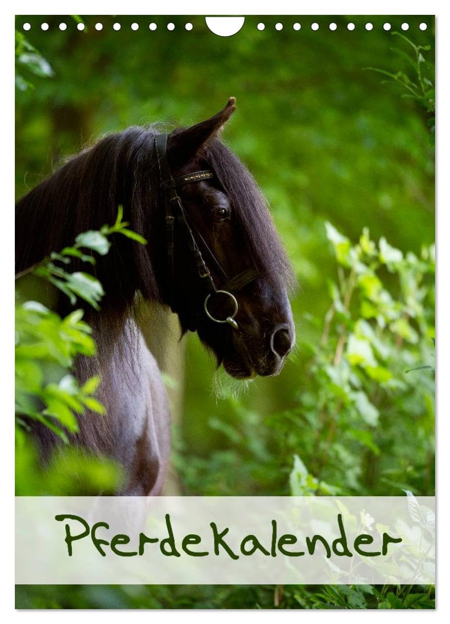Pferdekalender (Wandkalender 2025 DIN A4 hoch), CALVENDO Monatskalender: Schöner Hochformat-Pferdekalender mit 13 Motiven (CALVENDO Tiere) Natural Sciences