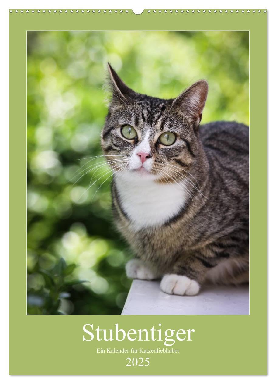 Stubentiger (Wandkalender 2025 DIN A2 hoch), CALVENDO Monatskalender: Wir drei sind frech, faul und gefrässig (CALVENDO Tiere) Natural Sciences