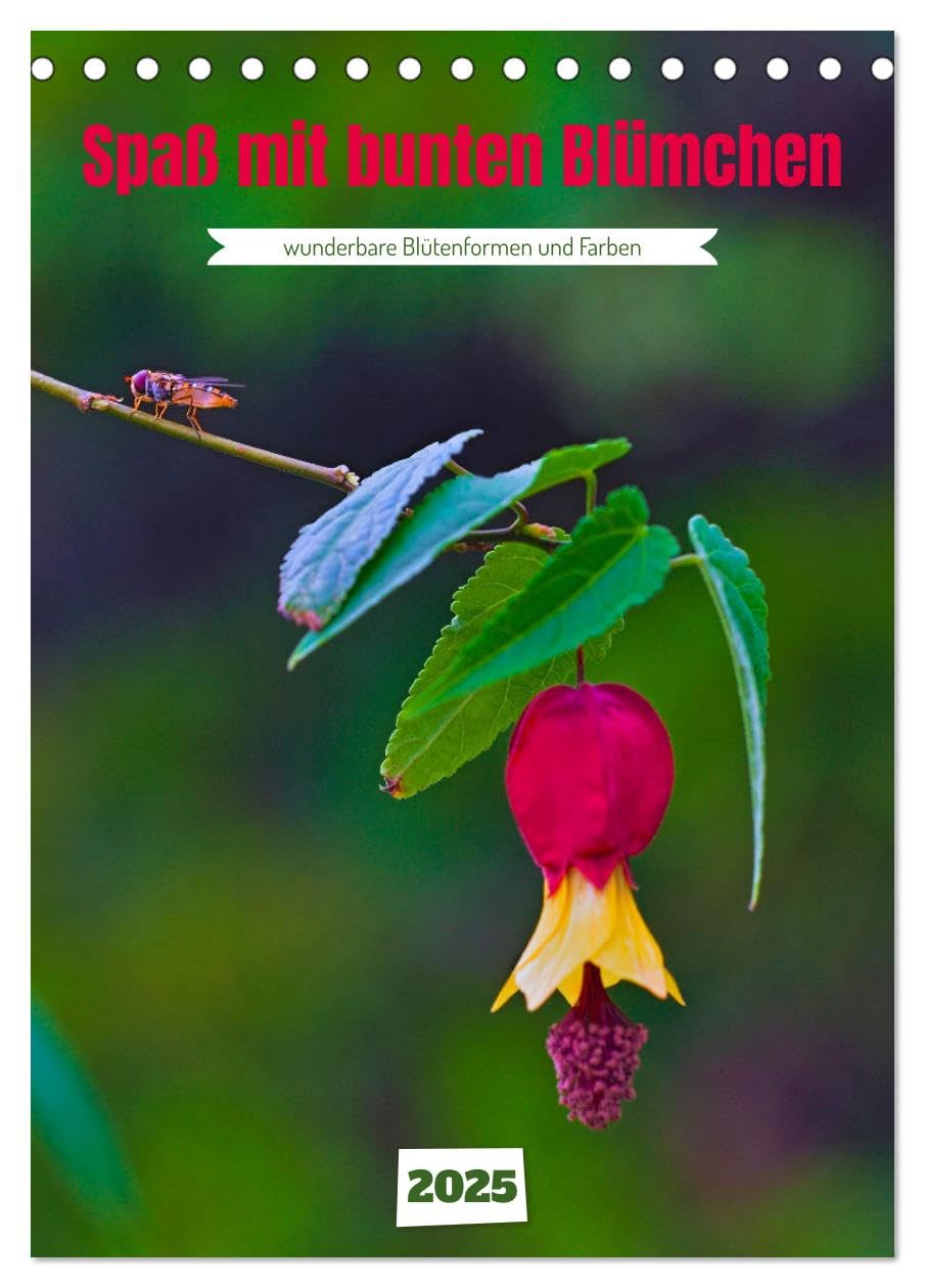 Spaß mit bunten Blümchen (Tischkalender 2025 DIN A5 hoch), CALVENDO Monatskalender: Bunte Farben- und Formenwelt der Blüten (CALVENDO Natur) Film, Art & Culture