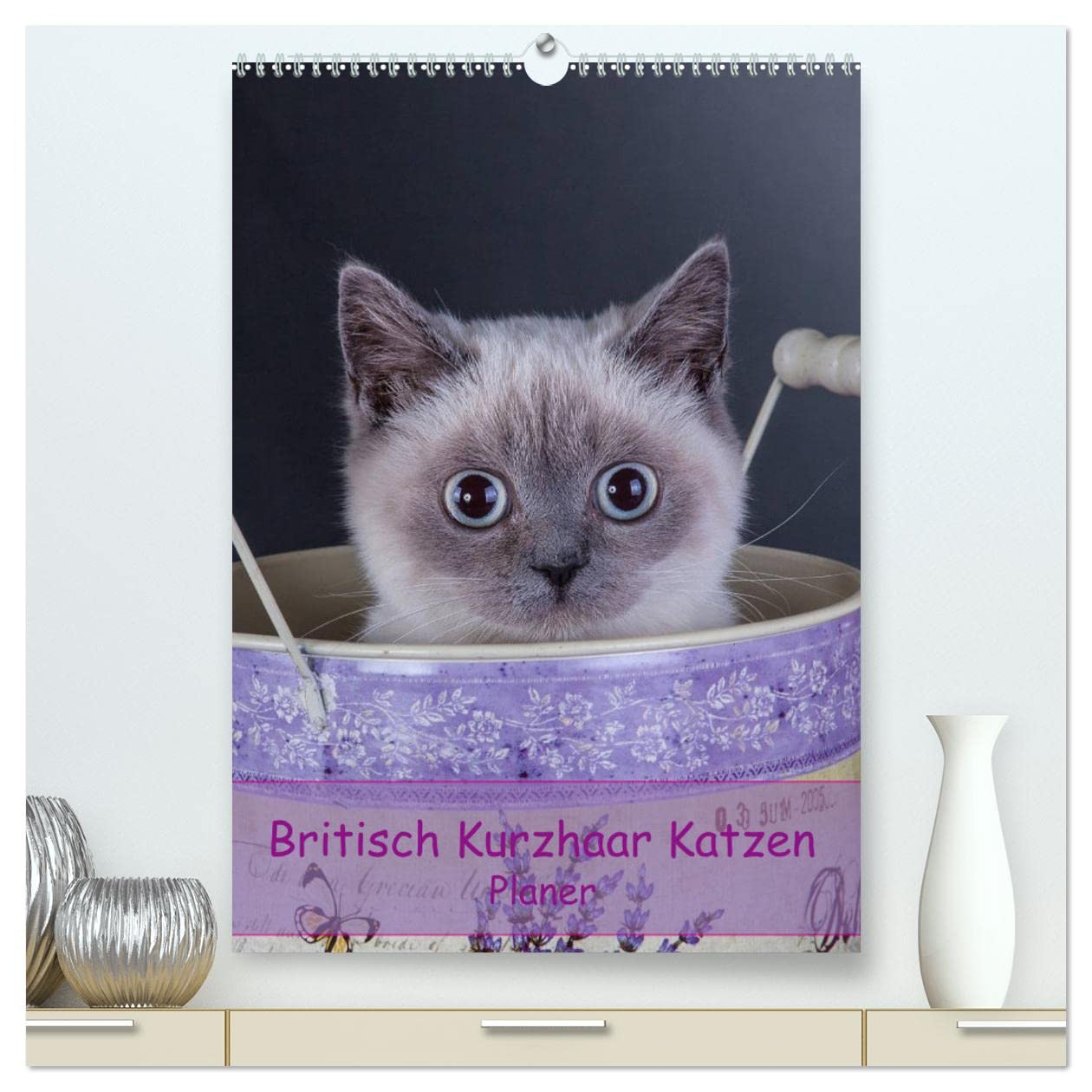 Britisch Kurzhaar Katzen - Planer (hochwertiger Premium Wandkalender 2025 DIN A2 hoch), Kunstdruck in Hochglanz: Britisch Kurzhaar Katzen Herzensbrecher auf 4 Pfoten Terminplaner (CALVENDO Tiere) Natural Sciences