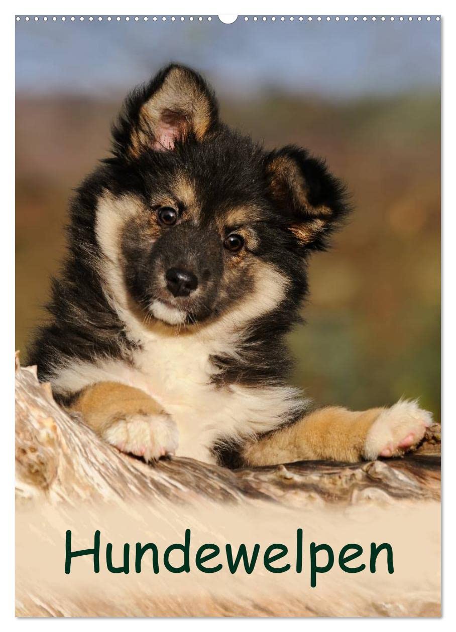 Hundewelpen (Wandkalender 2025 DIN A2 hoch), CALVENDO Monatskalender: Niedliche Welpen zum Liebhaben (CALVENDO Tiere) Living & Furnishing