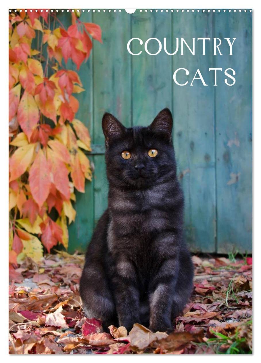 COUNTRY CATS (Wandkalender 2025 DIN A2 hoch), CALVENDO Monatskalender: Bezaubernde Katzen fotografiert auf dem Land und in Bauerngärten. (CALVENDO Tiere) Calendars