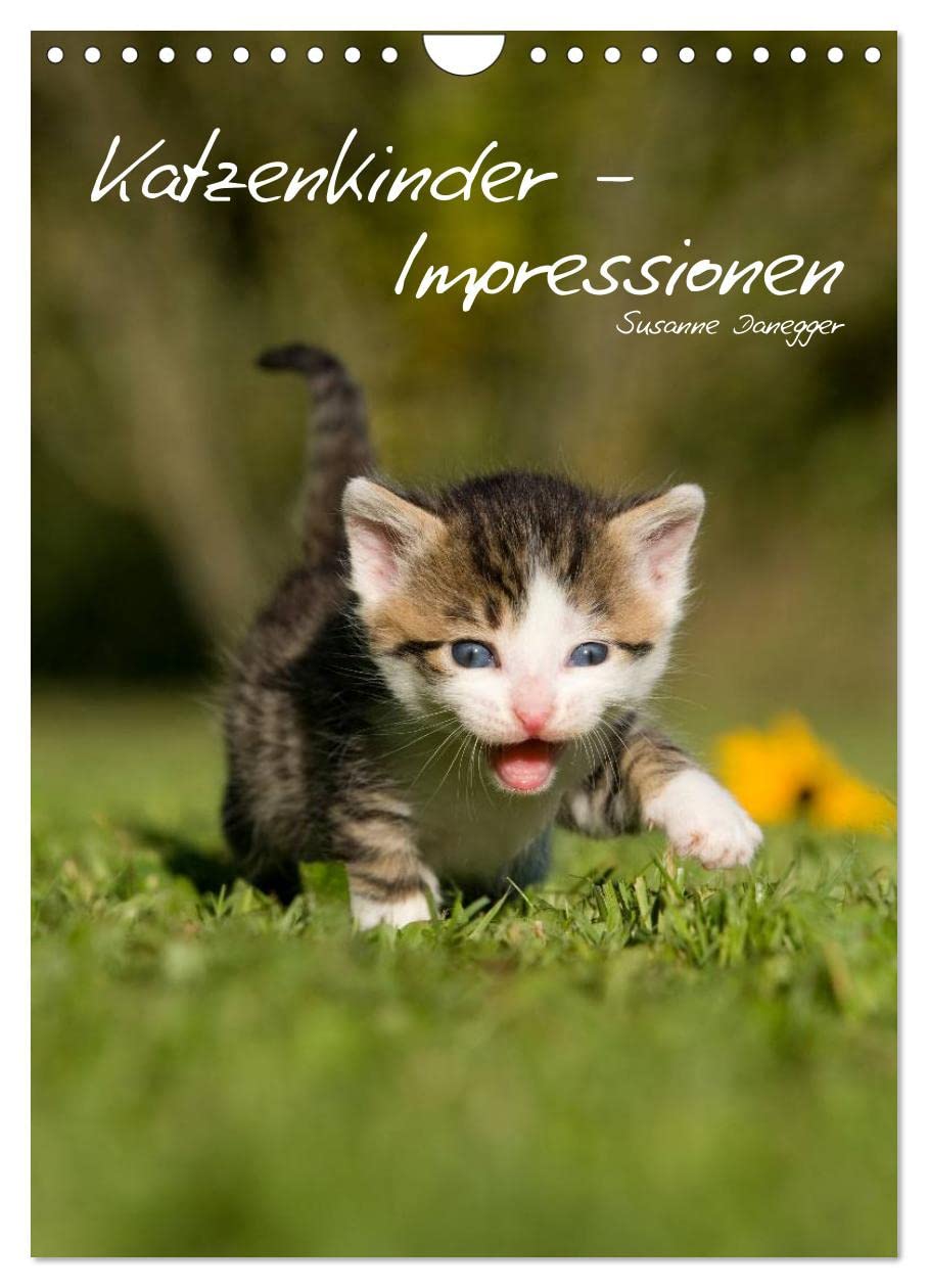 Katzenkinder - Impressionen (Wandkalender 2025 DIN A4 hoch), CALVENDO Monatskalender: Kleine Katzen ganz groß. (CALVENDO Tiere) Living & Furnishing