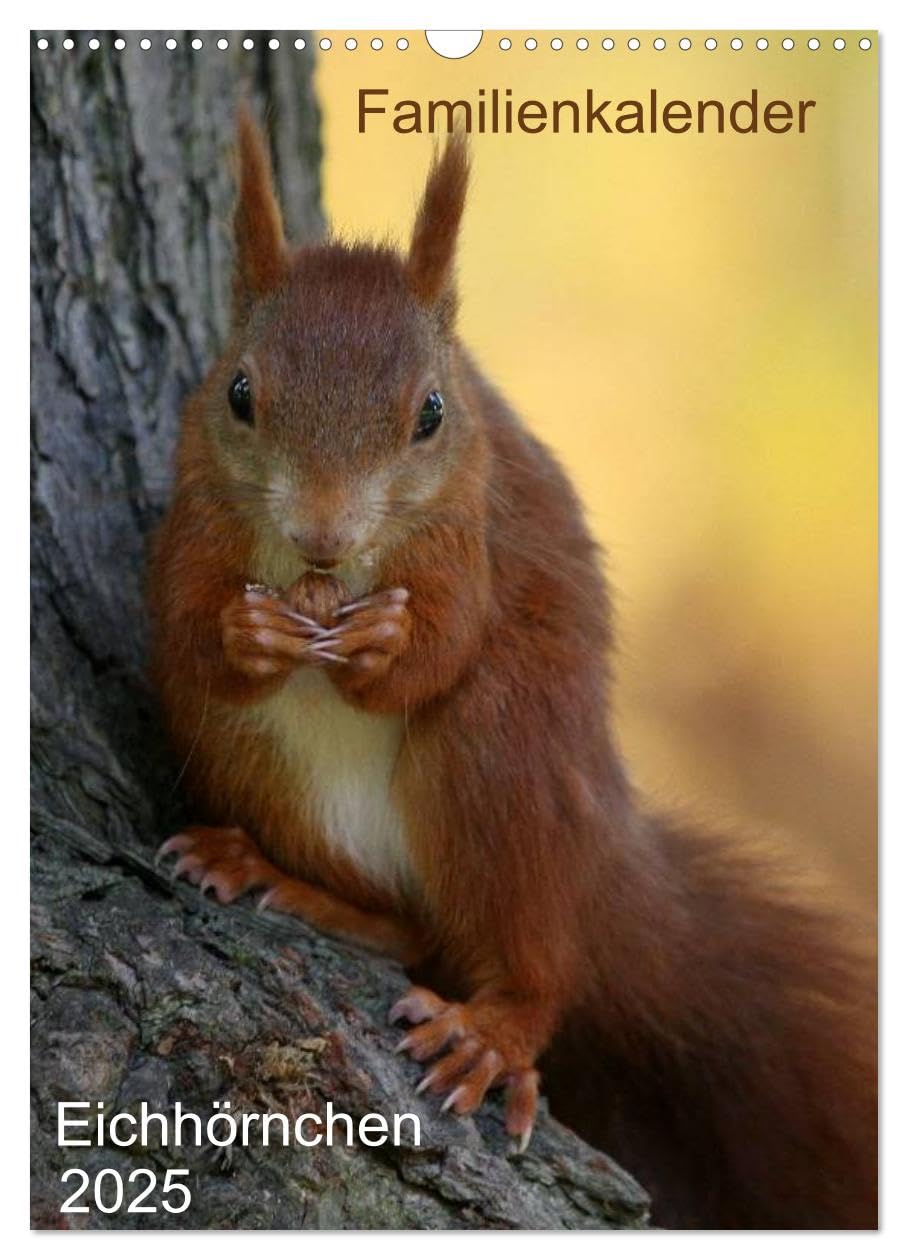 Eichhörnchen (Wandkalender 2025 DIN A3 hoch), CALVENDO Monatskalender: Putzige Eichhörnchen in typischen Situationen (CALVENDO Tiere) Pets