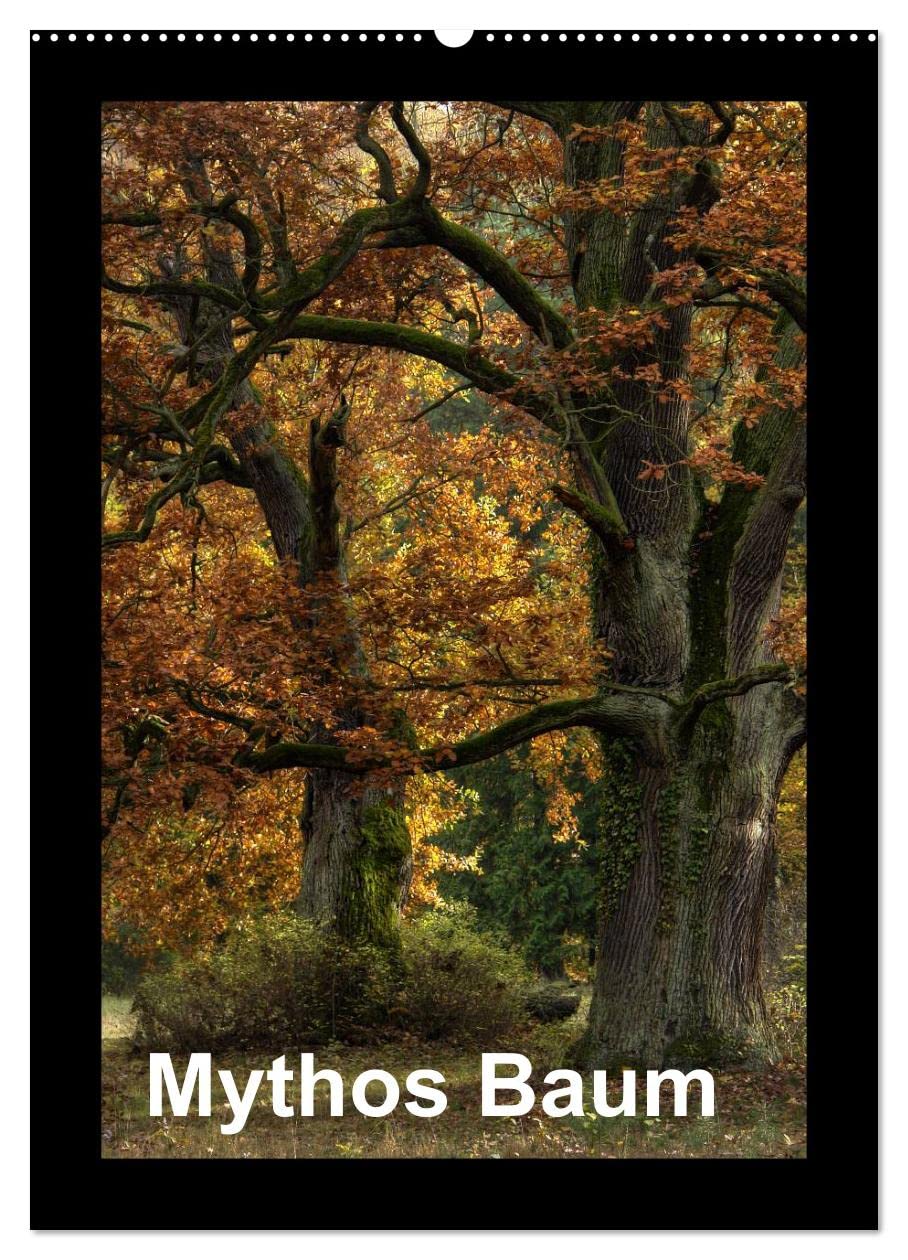 Mythos Baum / 2025 (Wandkalender 2025 DIN A2 hoch), CALVENDO Monatskalender: Alte Bäume ziehen uns in ihren Bann und wecken Fantasien. (CALVENDO Natur) Leisure, Home & Garden