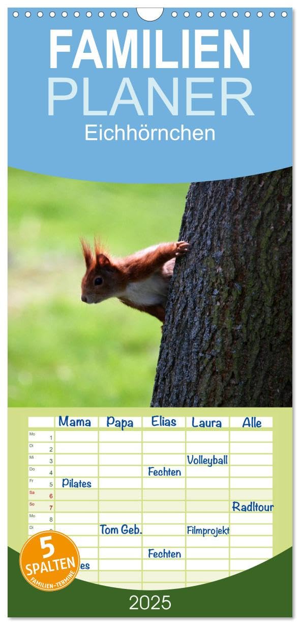 Familienplaner 2025 - Eichhörnchen mit 5 Spalten (Wandkalender, 21 cm x 45 cm), CALVENDO: Gattung der Hörnchen-Familie (CALVENDO Tiere) Living & Furnishing